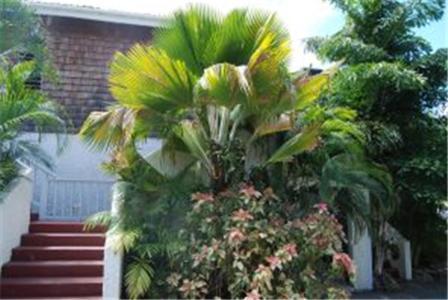 Fort Recovery Villa Suites Hotel Freshwater Pond Exterior foto